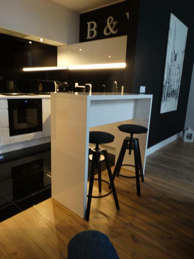 Black&White Apartment- Wierzbowa 5 Poznan Dış mekan fotoğraf